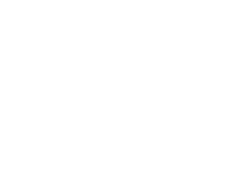 Tote N Carry
