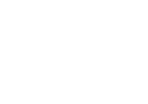 Web Industries